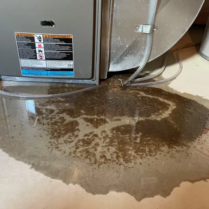 Appliance Leak Cleanup in Eldorado, IL